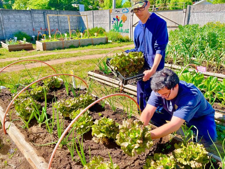 Escuela Especial Renacer de San Carlos contará con invernadero inclusivo para sus estudiantes
